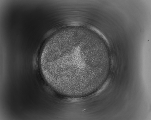 X0000087560970200705181121