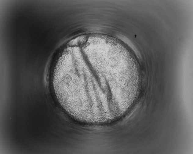 X0000087560971200705181121