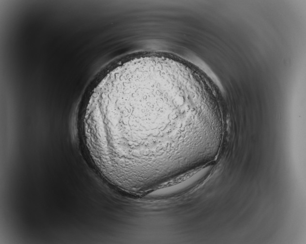 X0000087560972200705181121