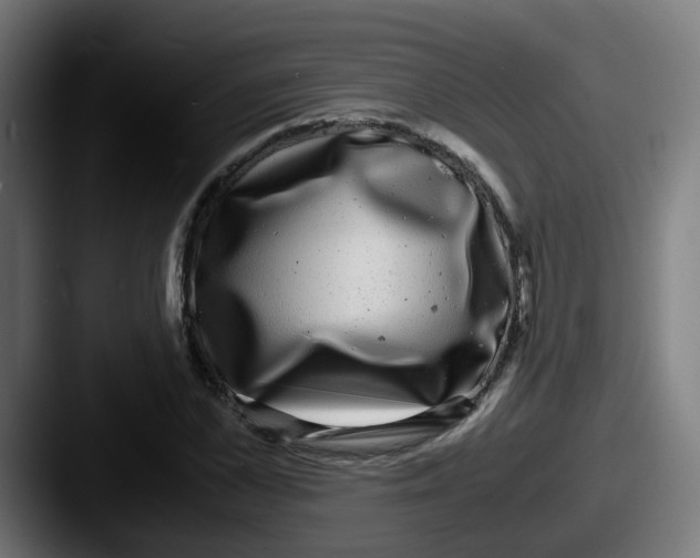 X0000087560973200705181121