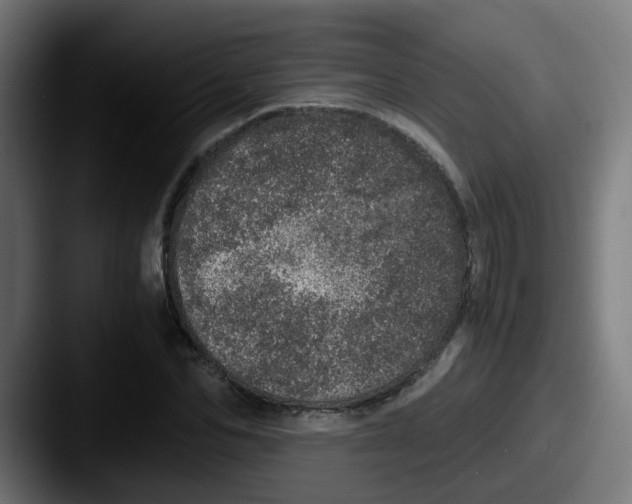 X0000087560974200705181121