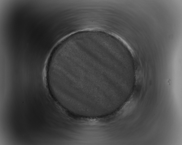 X0000087560975200705181121
