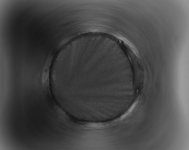 X0000087560977200705181121