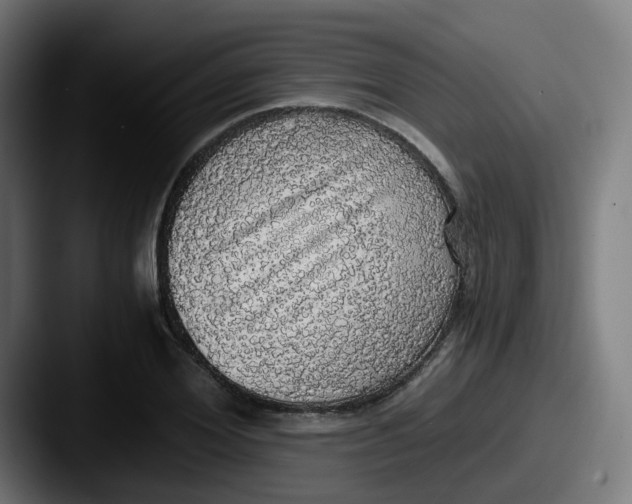 X0000087560980200705181121