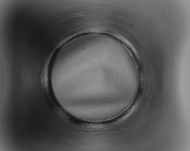 X0000087560981200705181121