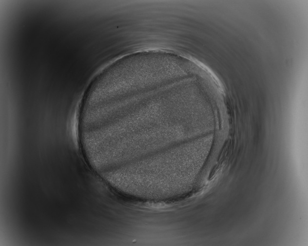 X0000087560983200705181121
