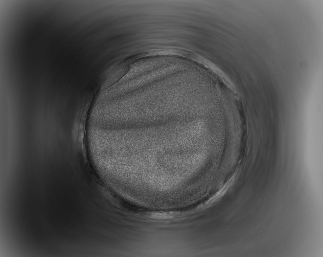 X0000087560985200705181121