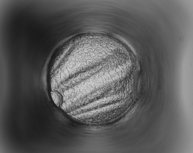 X0000087560987200705181121