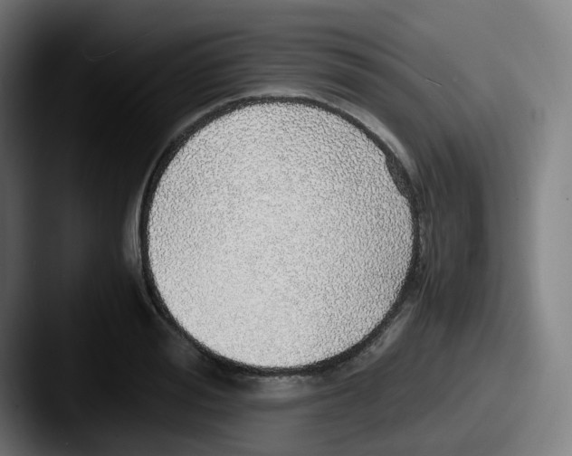 X0000087560988200705181121
