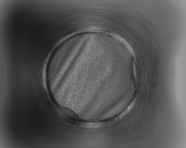 X0000087560989200705181121