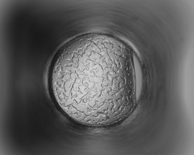 X0000087560991200705181121