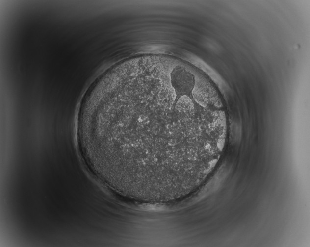 X0000087560994200705181121