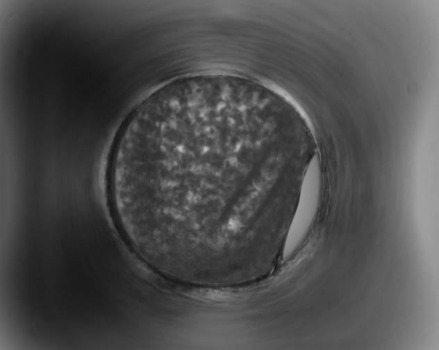 X0000087560995200705181121