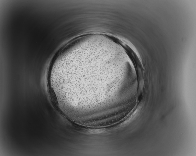 X0000087560997200705181121