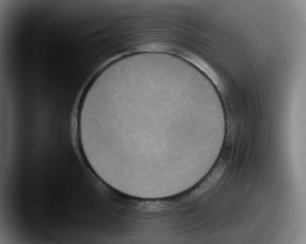 X0000087561000200705181121