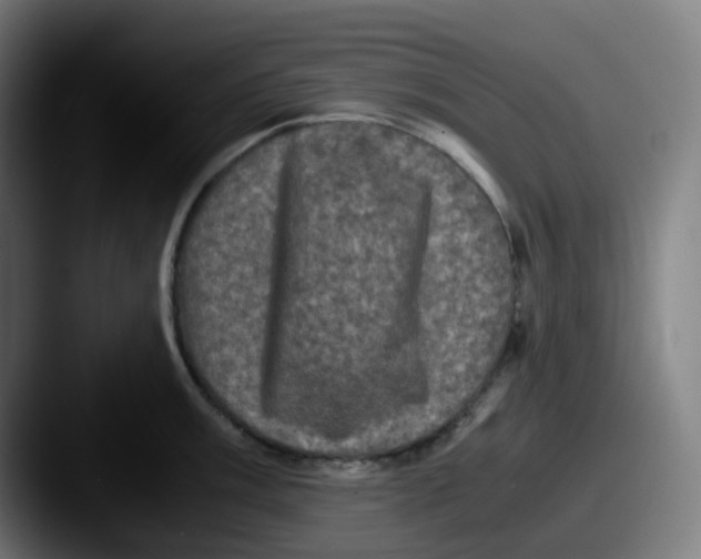 X0000087561003200705181121