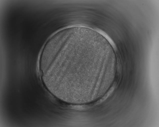 X0000087561004200705181121