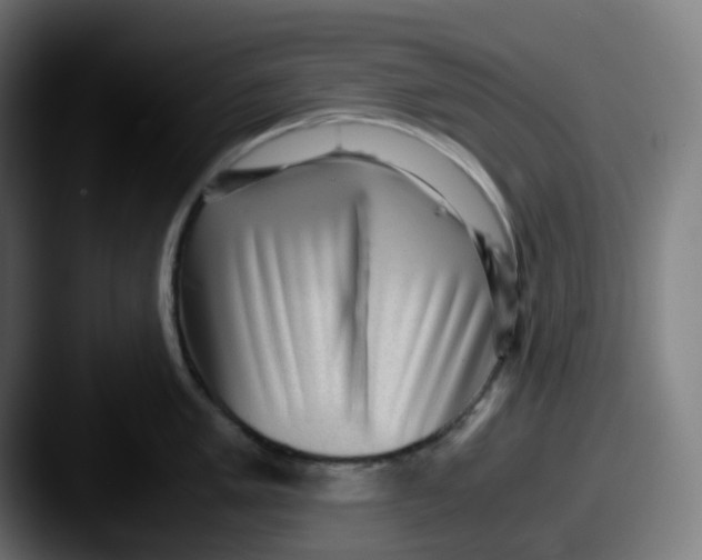 X0000087561005200705181121