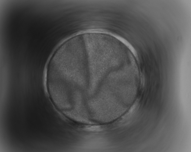 X0000087561006200705181121