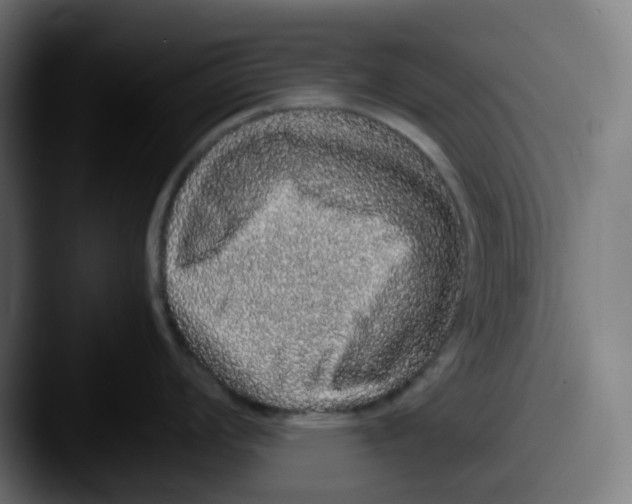 X0000087561008200705181121