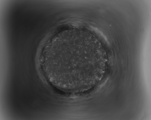 X0000087561009200705181120