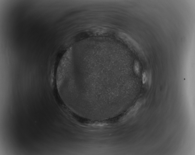 X0000087561011200705181120