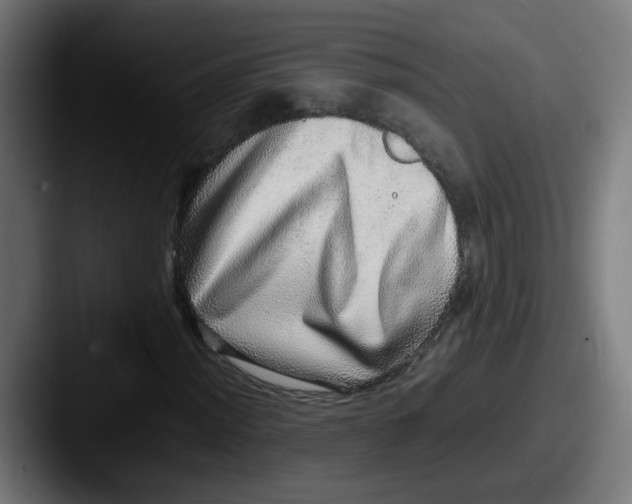 X0000087561012200705181120