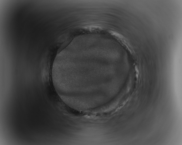 X0000087561014200705181120