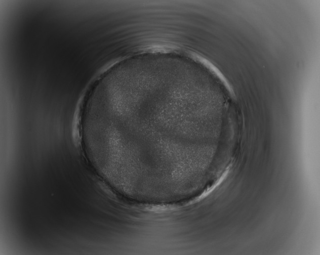 X0000087561018200705181120