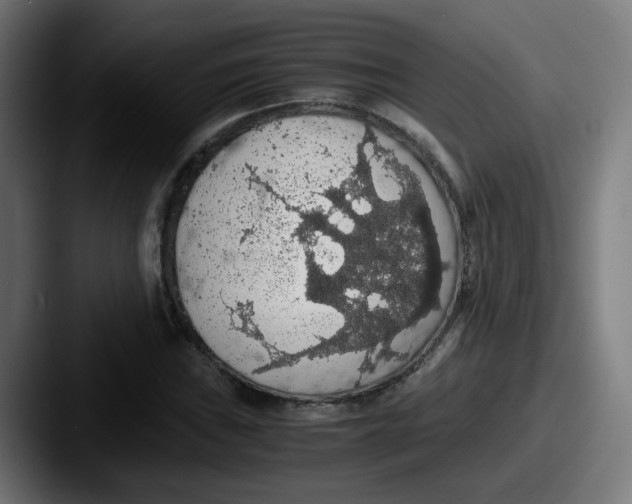 X0000087561019200705181120