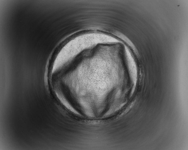 X0000087561020200705181120