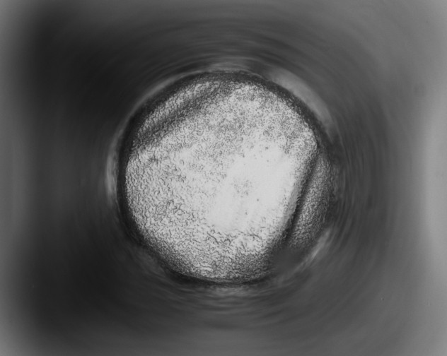 X0000087561021200705181120
