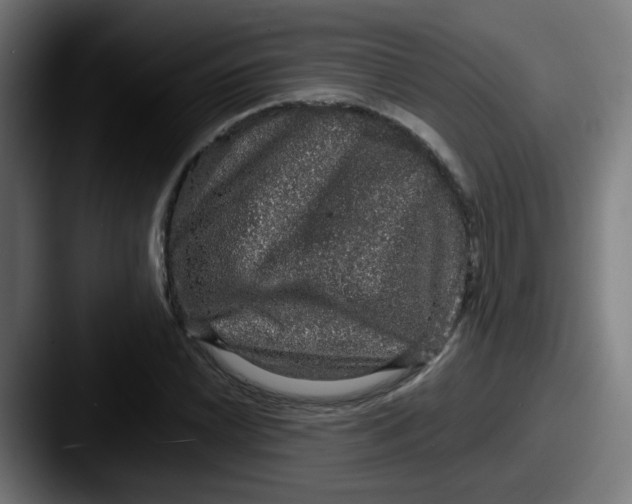 X0000087561022200705181121
