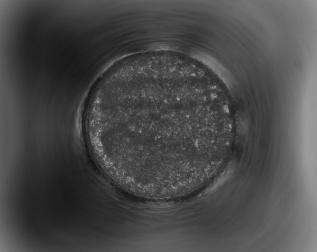X0000087561023200705181121