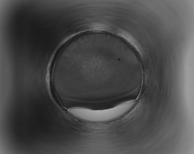 X0000087561024200705181121
