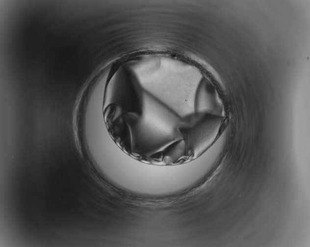 X0000087561026200705181121
