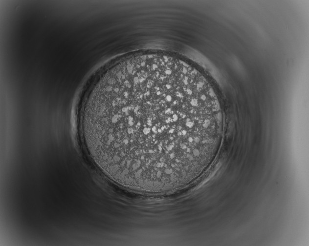 X0000087561027200705181121