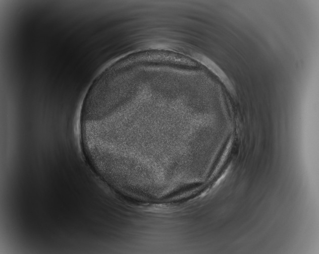 X0000087561028200705181121