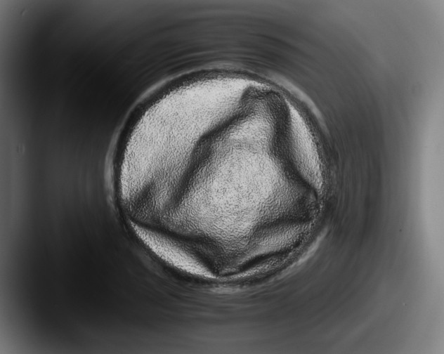 X0000087561029200705181121
