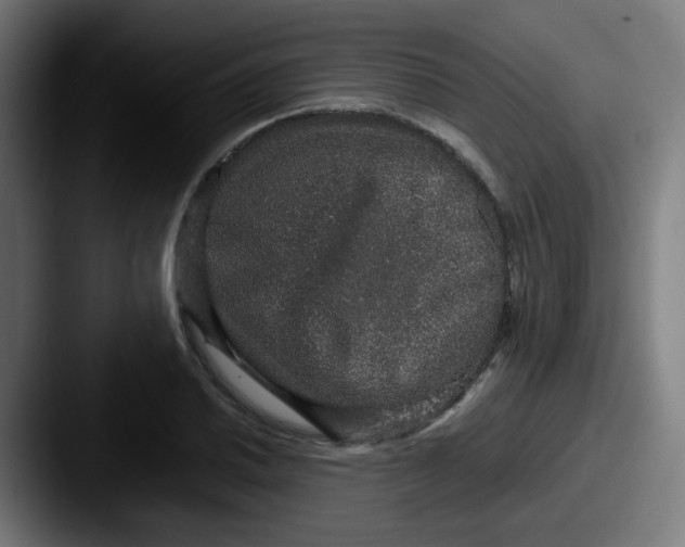 X0000087561030200705181121