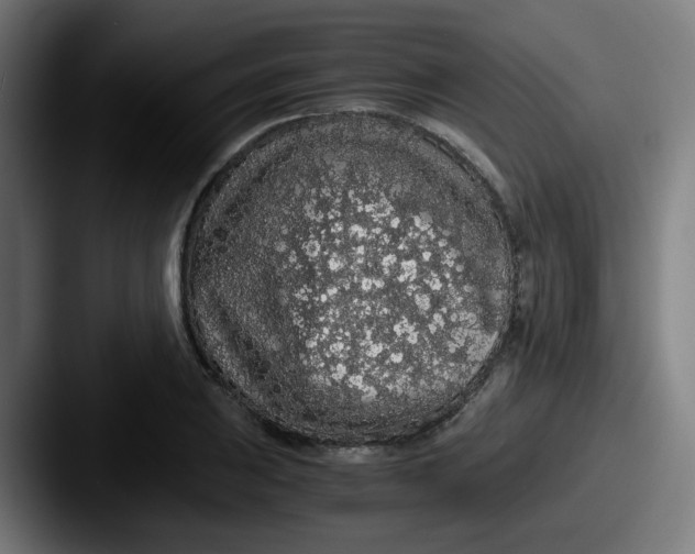 X0000087561031200705181121