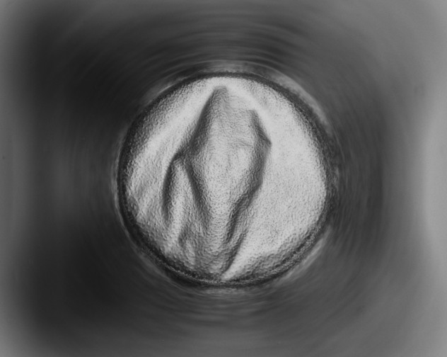 X0000087561033200705181121