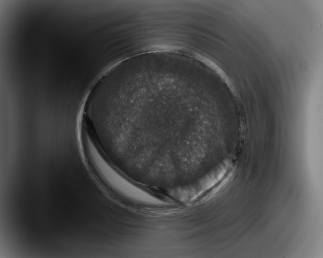 X0000087561034200705181121