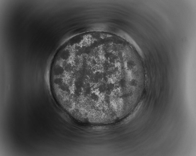 X0000087561035200705181121