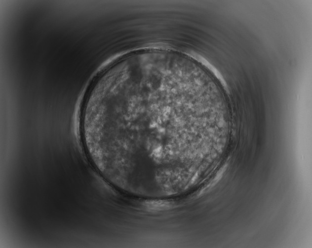 X0000087561037200705181121