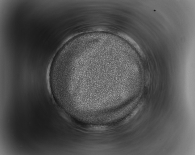 X0000087561039200705181121