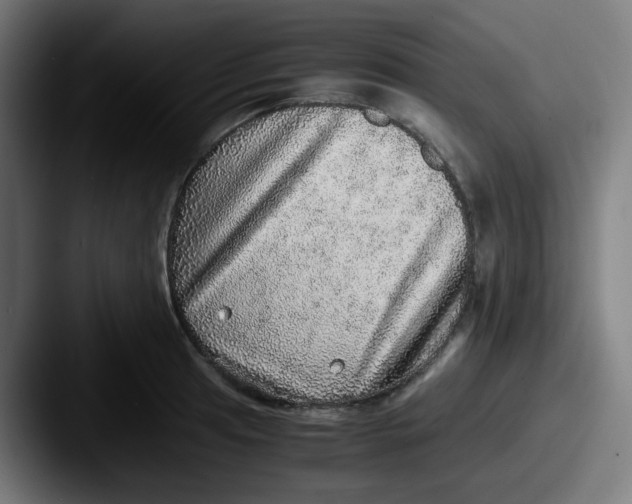 X0000087561041200705181121