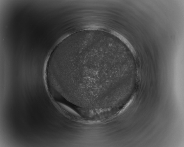 X0000087561042200705181121