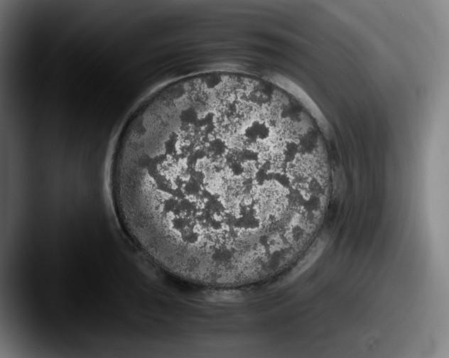 X0000087561043200705181121