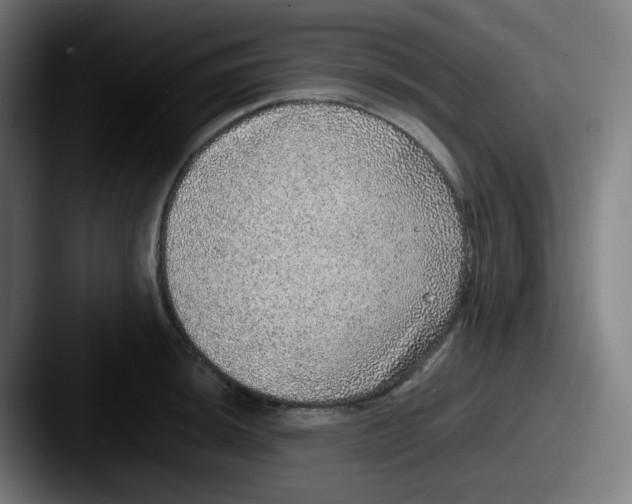 X0000087561044200705181121